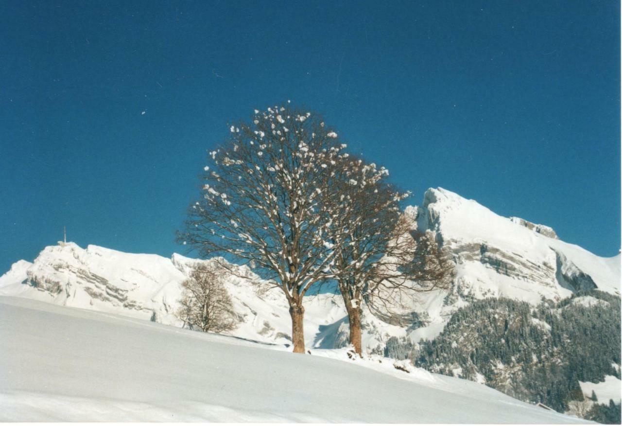 Ferienhaus Gubel Alt St. Johann Esterno foto